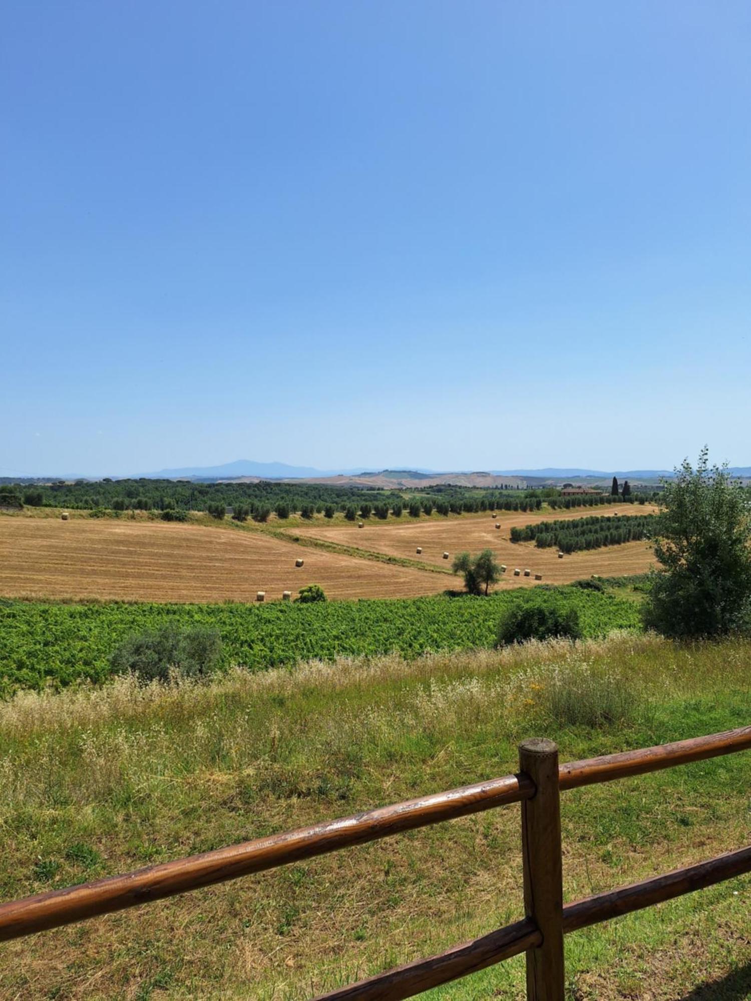 Casa Paola Nel Chianti Bed & Breakfast Castelnuovo Berardenga Exterior photo